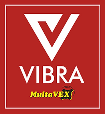 vex logo 1 e1714476592647