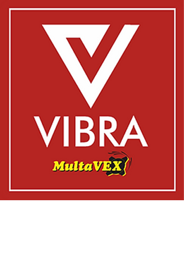 vex logo 1